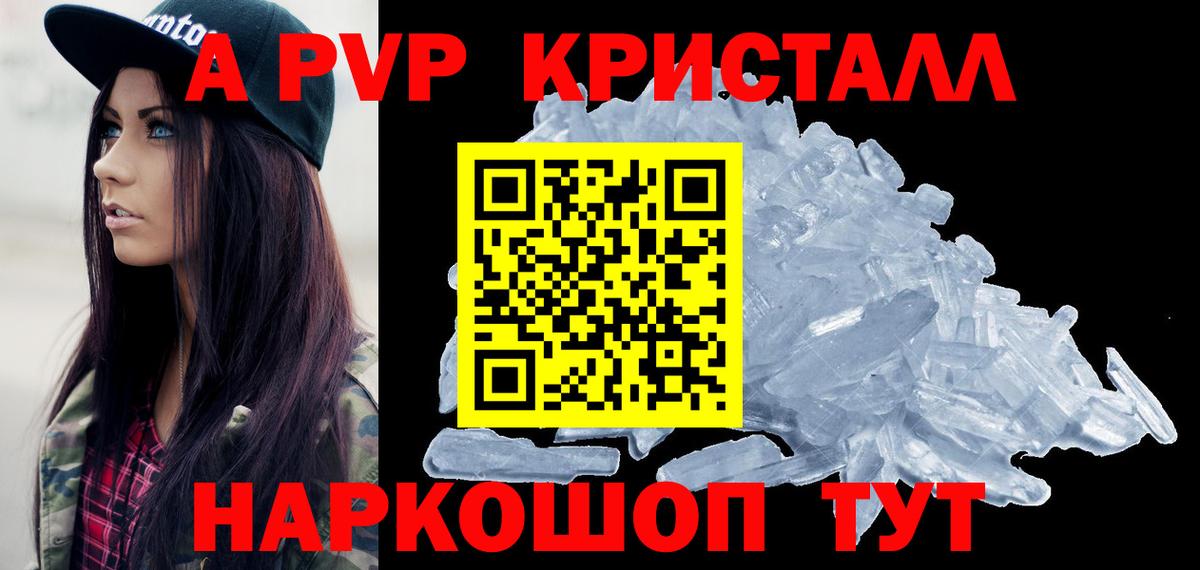 Альфа ПВП крисы CK  Вход с VPN  Грозный  Alfa_PVP СК КРИС 