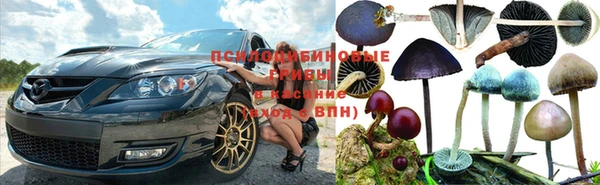 прущая мука Алексеевка