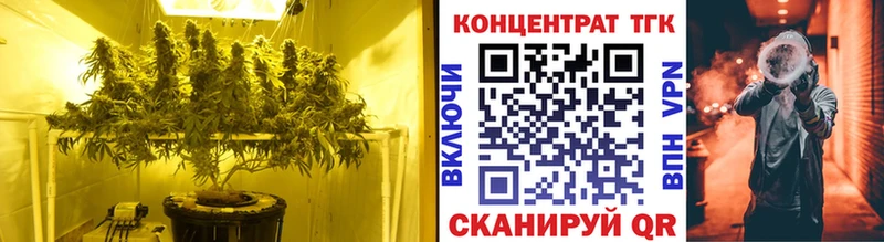 Дистиллят ТГК THC oil  Грозный 