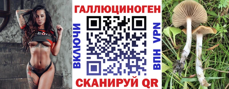 Галлюциногенные грибы Psilocybine cubensis  Грозный 