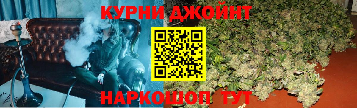 Бошки Шишки семена Грозный